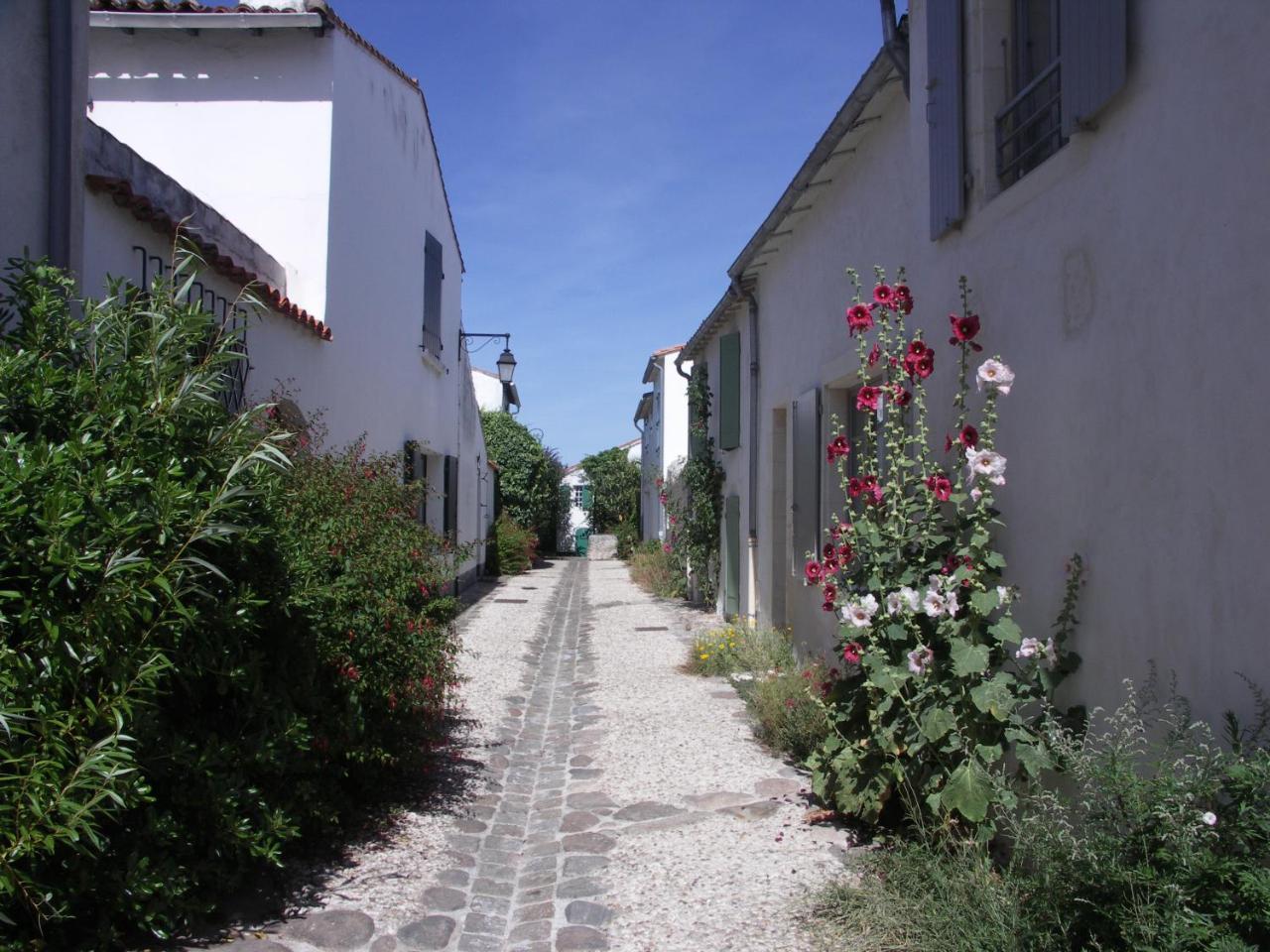 Appartement Liseron Saint-Martin-de-Ré Zewnętrze zdjęcie